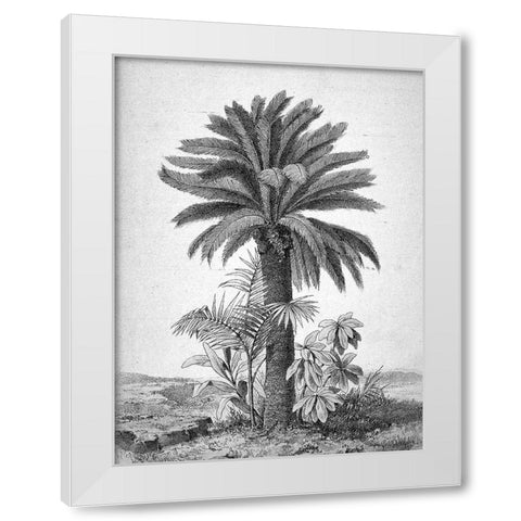 Palmier White Modern Wood Framed Art Print by BRAUN Studio