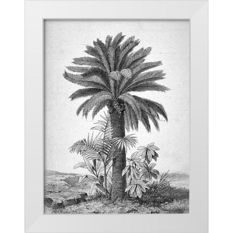 Palmier White Modern Wood Framed Art Print by BRAUN Studio