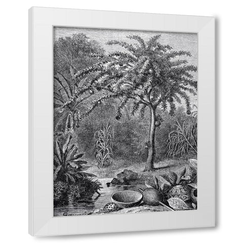 Arbre White Modern Wood Framed Art Print by BRAUN Studio