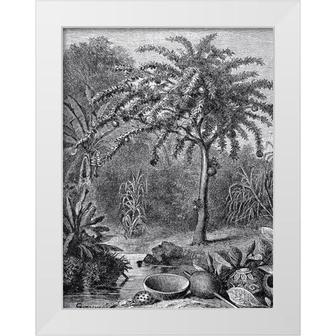 Arbre White Modern Wood Framed Art Print by BRAUN Studio