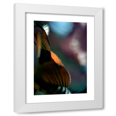 Feuilles Prunus 2 White Modern Wood Framed Art Print by Ayrault, Marc