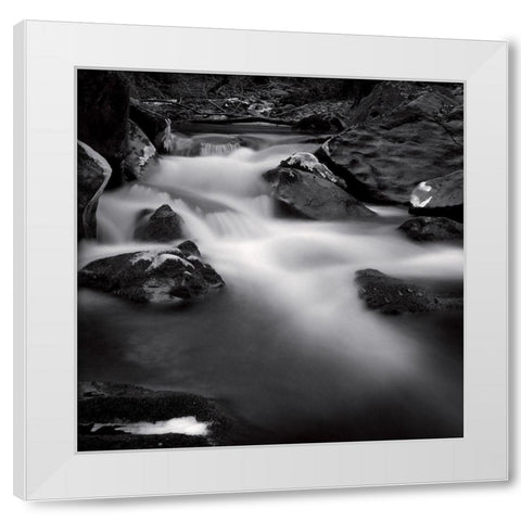 Castagniccia I White Modern Wood Framed Art Print by Poli, Jean-Philippe