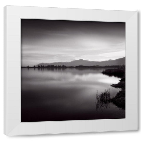 Etang White Modern Wood Framed Art Print by Poli, Jean-Philippe