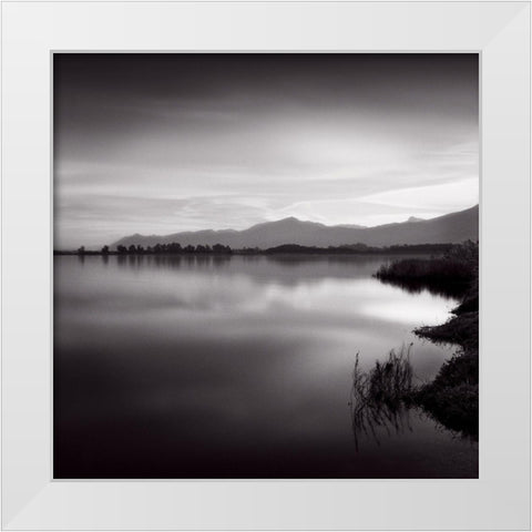 Etang White Modern Wood Framed Art Print by Poli, Jean-Philippe