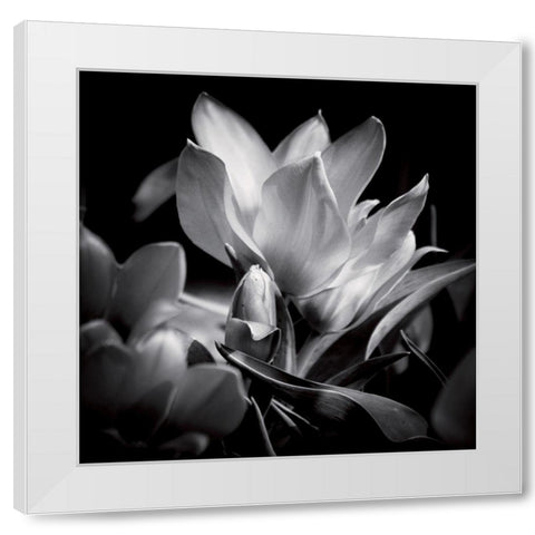 Opening White Modern Wood Framed Art Print by Mercier, Bruno