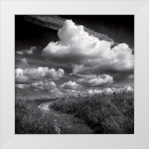 La clef des champs I White Modern Wood Framed Art Print by de Lattre, Pascal