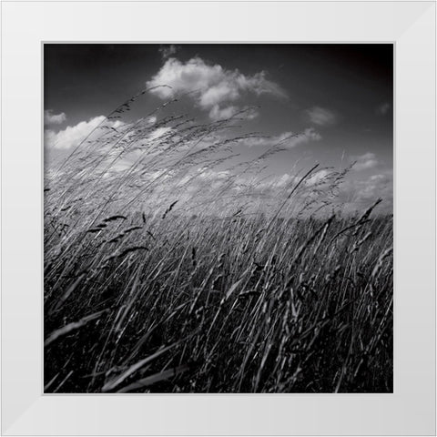 La clef des champs II White Modern Wood Framed Art Print by de Lattre, Pascal