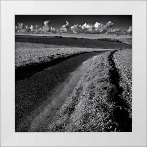 La clef des champs III White Modern Wood Framed Art Print by de Lattre, Pascal