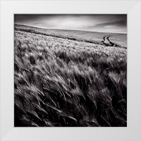 Dans le sens des epis White Modern Wood Framed Art Print by de Lattre, Pascal