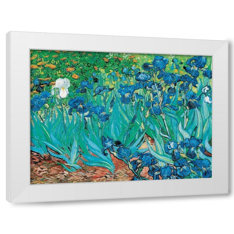 Iris White Modern Wood Framed Art Print by van Gogh, Vincent