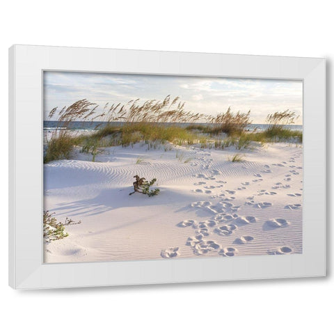Plage 11 White Modern Wood Framed Art Print by Braun Studio