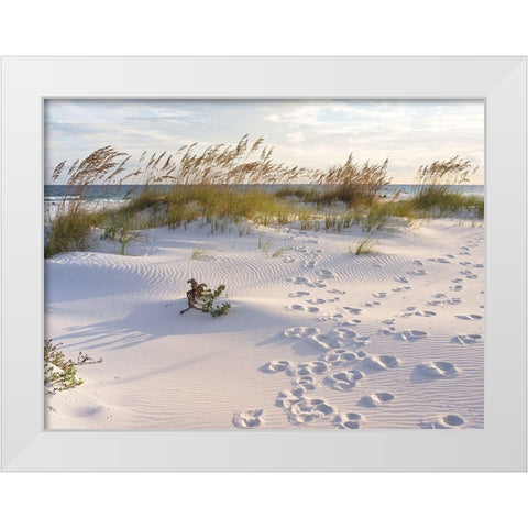Plage 11 White Modern Wood Framed Art Print by Braun Studio