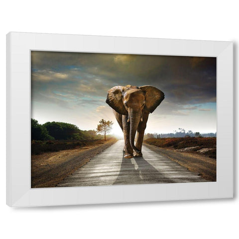 Majestic White Modern Wood Framed Art Print by Braun Studio
