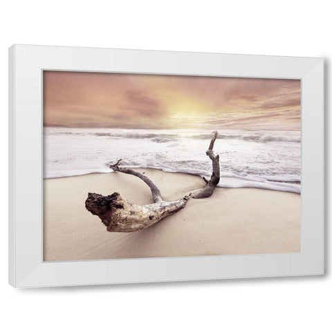 Driftwood on beach White Modern Wood Framed Art Print by Braun Studio