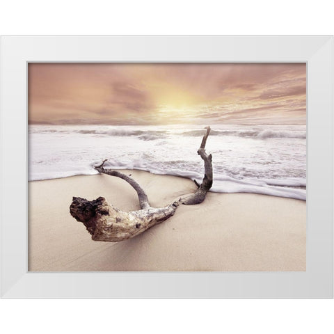 Driftwood on beach White Modern Wood Framed Art Print by Braun Studio