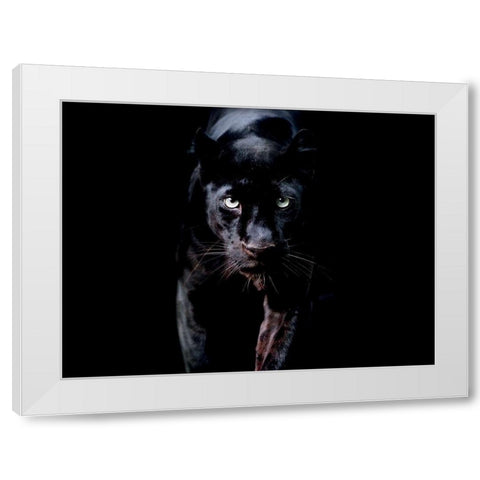 PanthÃ¨re Noire White Modern Wood Framed Art Print by Braun Studio