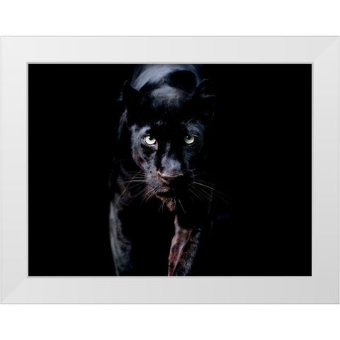 PanthÃ¨re Noire White Modern Wood Framed Art Print by Braun Studio