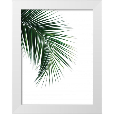 Green Palm Tree I White Modern Wood Framed Art Print by Braun Studio