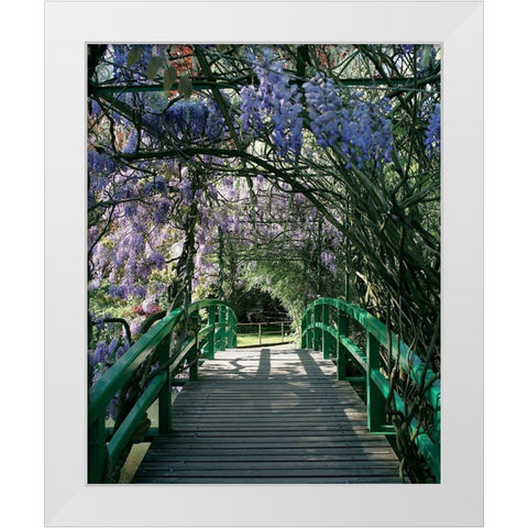 Jardin de Monet a Giverny I White Modern Wood Framed Art Print by Pinsard, Laurent