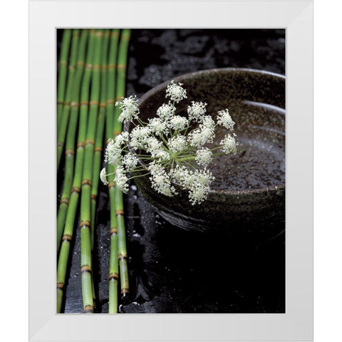 Printemps de bambous White Modern Wood Framed Art Print by Photographie Collection