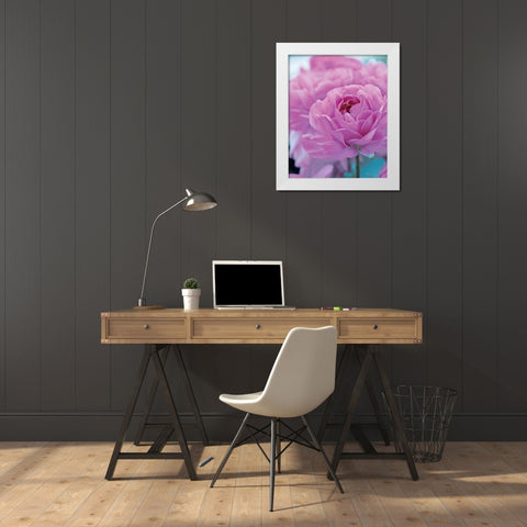Roses Anglaises White Modern Wood Framed Art Print by Friis-Larsen, Liv