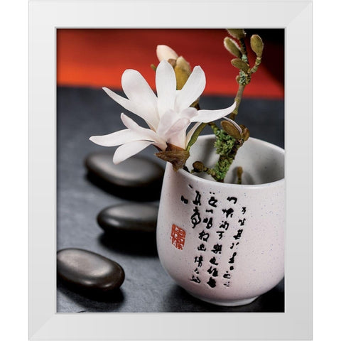 Composition Zen - Magnolia Stellata 2 White Modern Wood Framed Art Print by Beyler, Catherine