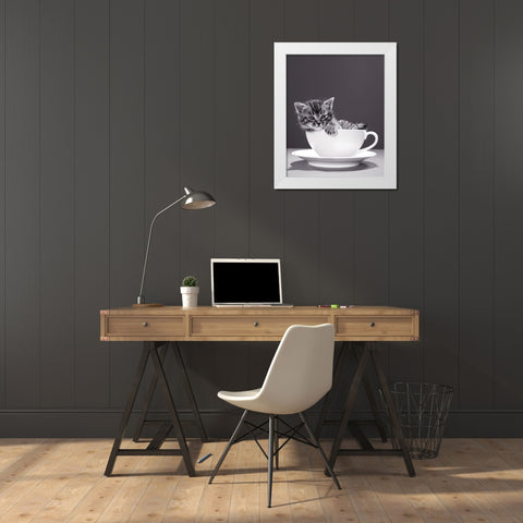 Chat-Tasse White Modern Wood Framed Art Print by Braun Studio
