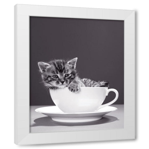 Chat-Tasse White Modern Wood Framed Art Print by Braun Studio