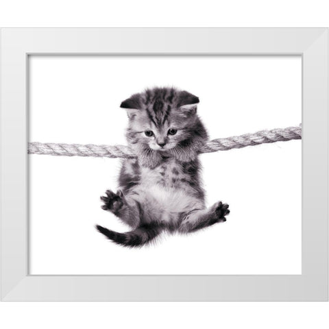 Oups ! White Modern Wood Framed Art Print by Braun Studio