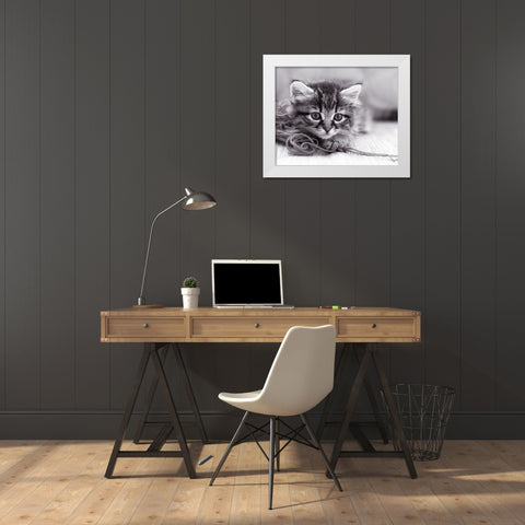 Tu viens jouer ? White Modern Wood Framed Art Print by Braun Studio