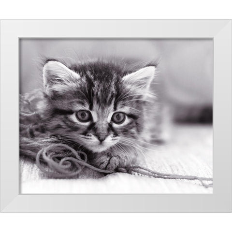 Tu viens jouer ? White Modern Wood Framed Art Print by Braun Studio