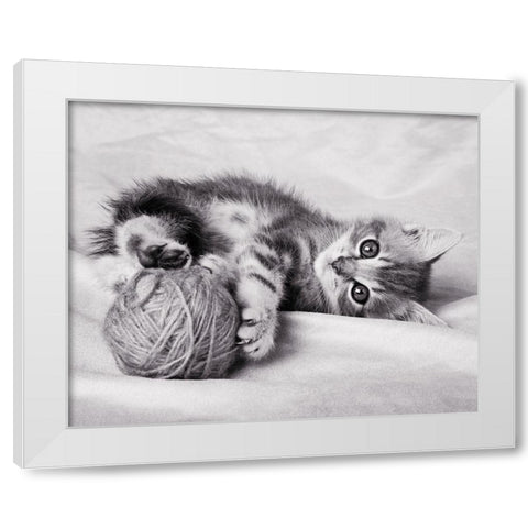 La pelote White Modern Wood Framed Art Print by Braun Studio