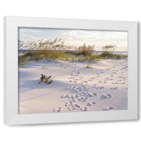 Plage 11 White Modern Wood Framed Art Print by Braun Studio