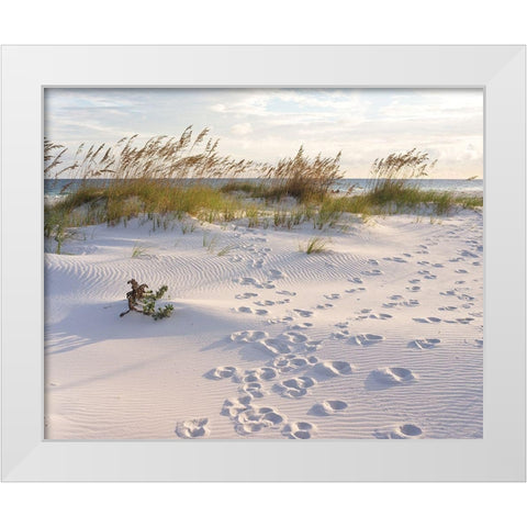 Plage 11 White Modern Wood Framed Art Print by Braun Studio