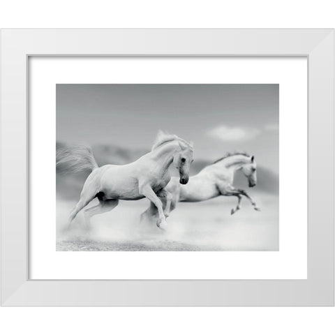 Galops blancs White Modern Wood Framed Art Print by Braun Studio