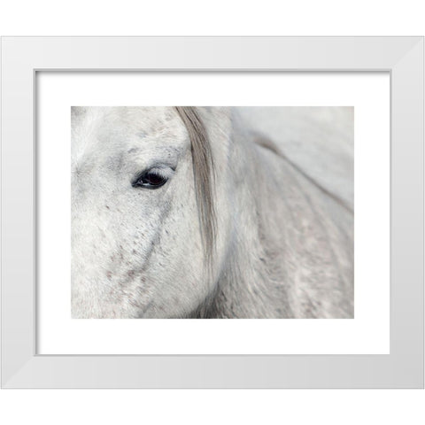 Crin Blanc 1 White Modern Wood Framed Art Print by Braun Studio