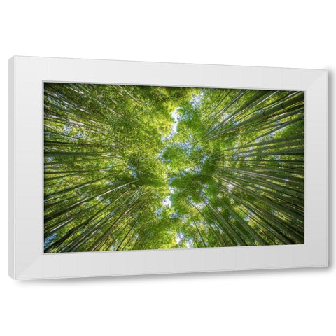 Ciel darbres White Modern Wood Framed Art Print by Braun Studio