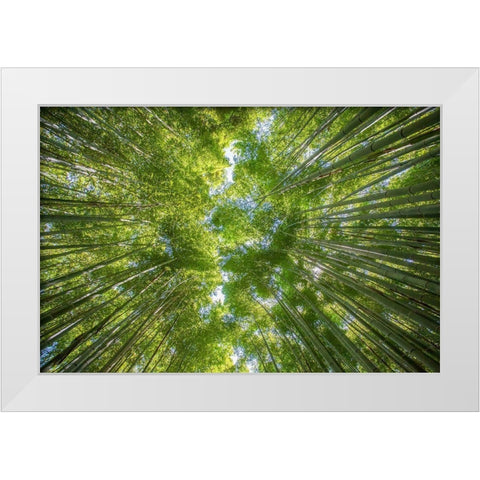 Ciel darbres White Modern Wood Framed Art Print by Braun Studio