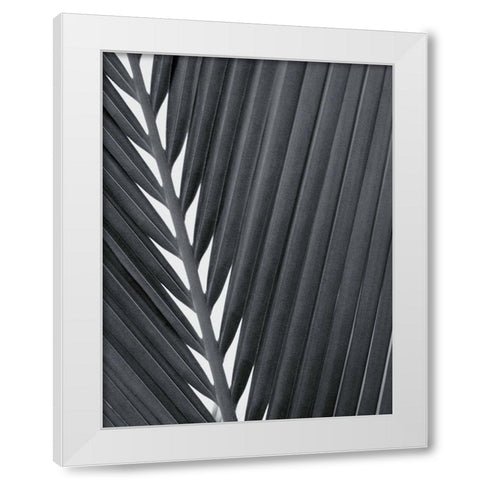 Feuillage Design White Modern Wood Framed Art Print by Braun Studio