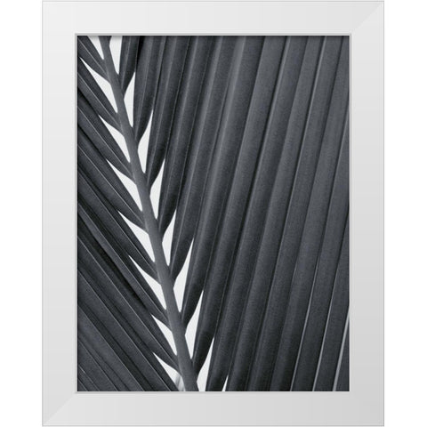 Feuillage Design White Modern Wood Framed Art Print by Braun Studio