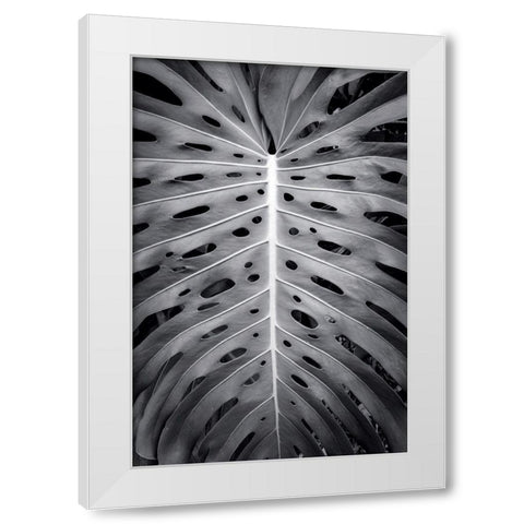 Feuillage Monstera White Modern Wood Framed Art Print by Braun Studio