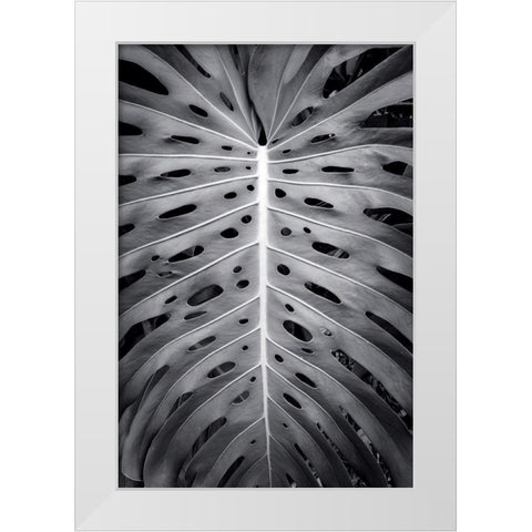 Feuillage Monstera White Modern Wood Framed Art Print by Braun Studio