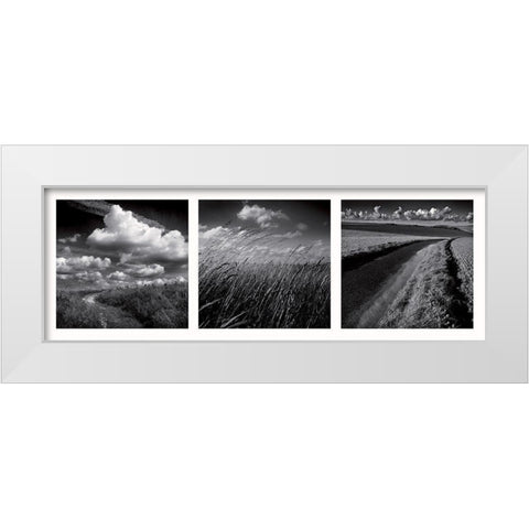 La clef des champs White Modern Wood Framed Art Print by de Lattre, Pascal