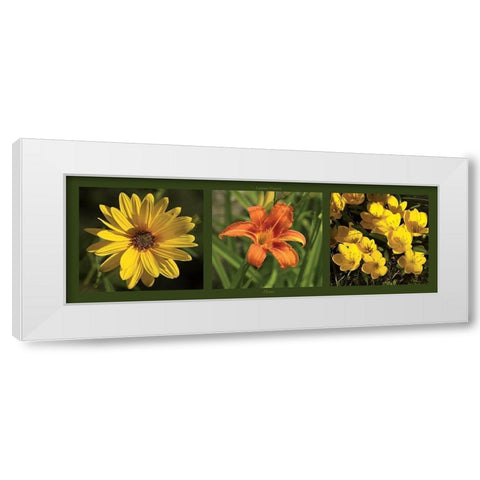 Fleurs White Modern Wood Framed Art Print by Pinsard, Laurent