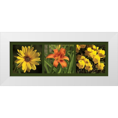 Fleurs White Modern Wood Framed Art Print by Pinsard, Laurent