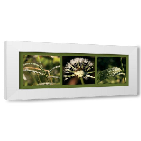 Rosee White Modern Wood Framed Art Print by Pinsard, Laurent