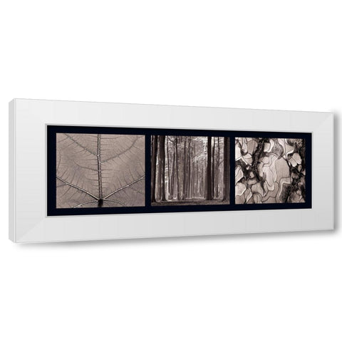 Arbres White Modern Wood Framed Art Print by Pinsard, Laurent