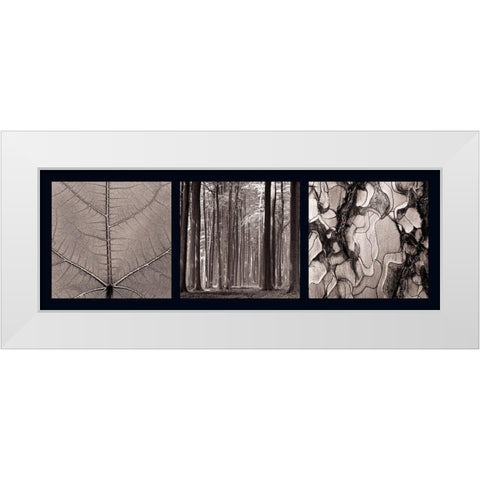 Arbres White Modern Wood Framed Art Print by Pinsard, Laurent