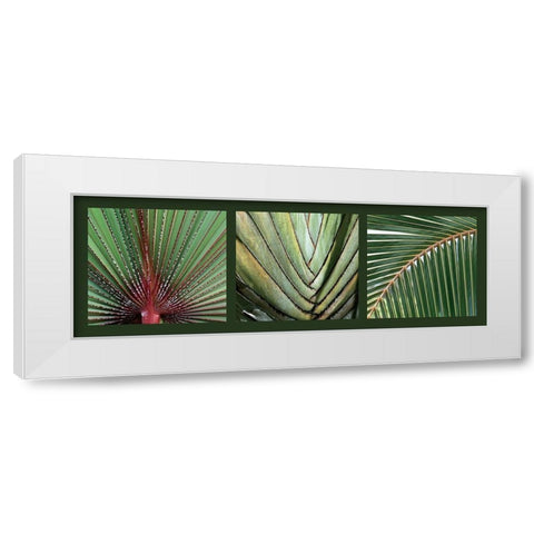 Palmiers White Modern Wood Framed Art Print by Pinsard, Laurent