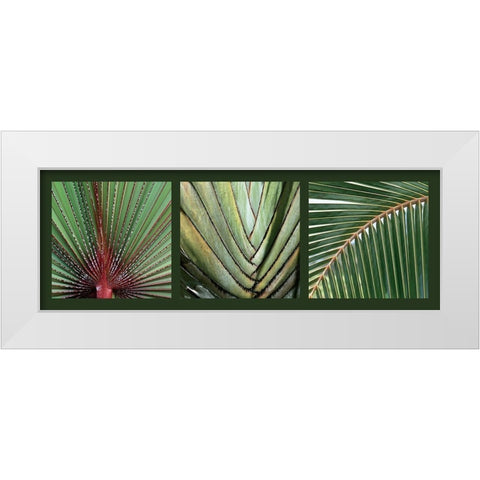 Palmiers White Modern Wood Framed Art Print by Pinsard, Laurent